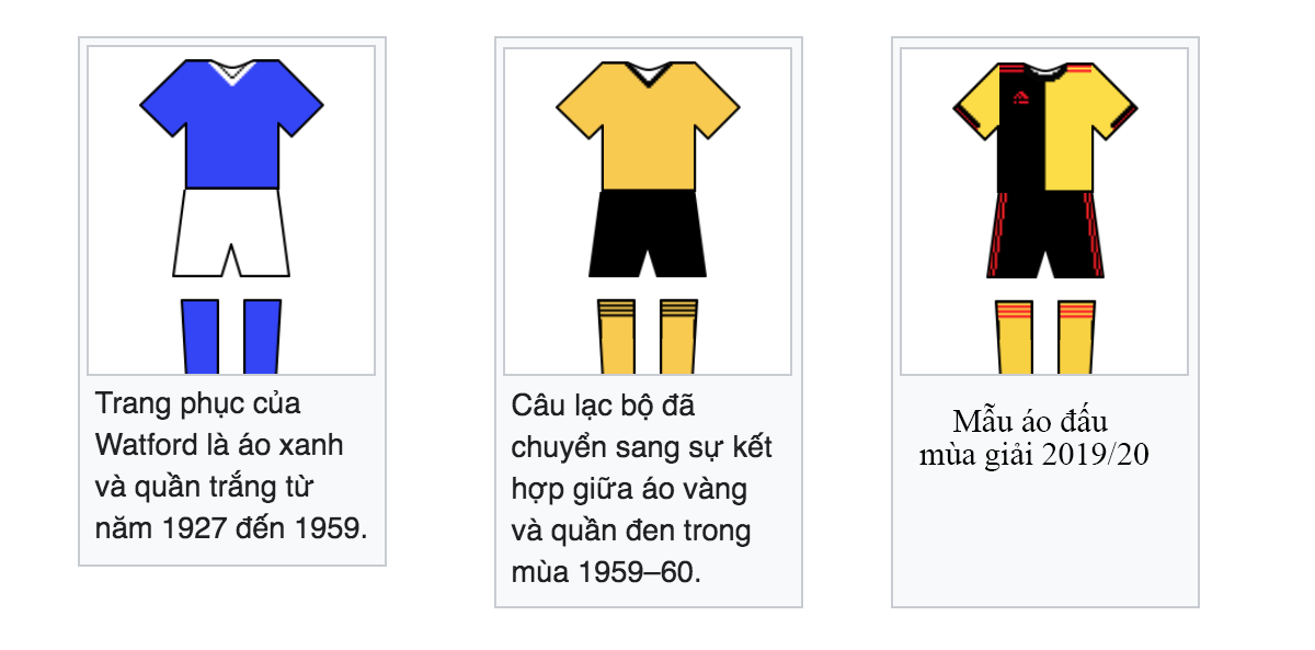 Tiểu sử, thành tích thi đấu của CLB Watford