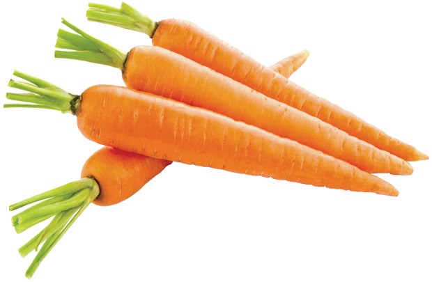 Củ cà rốt – CC VIỆT