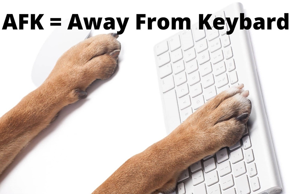 Lịch sử và định nghĩa AFK trong môi trường trực tuyến